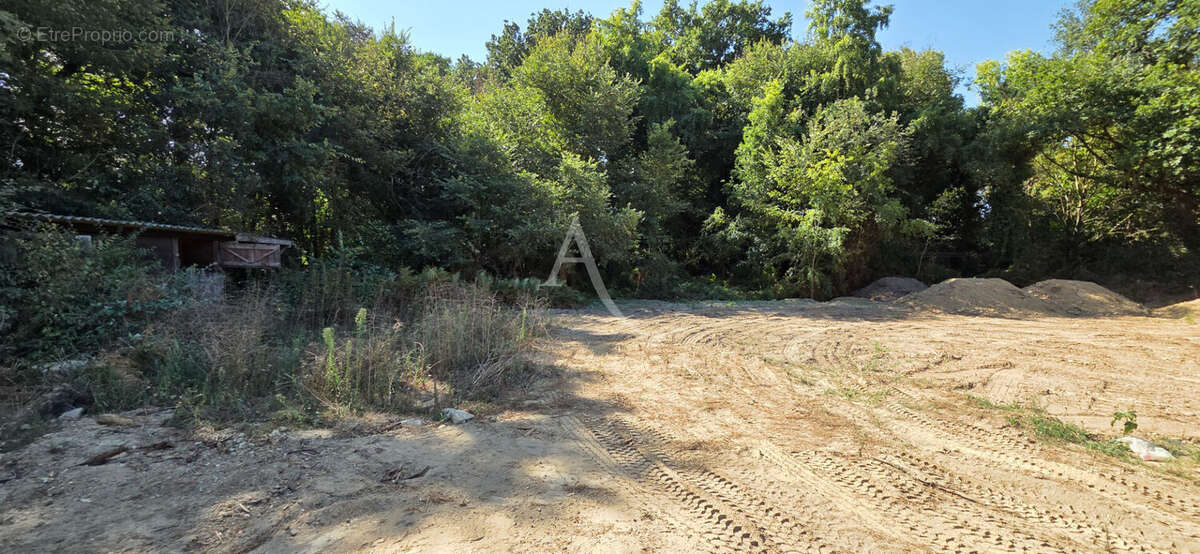 Terrain à SAINT-HILAIRE-DE-RIEZ