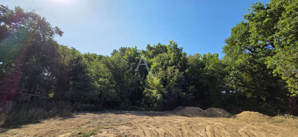 Terrain à SAINT-HILAIRE-DE-RIEZ