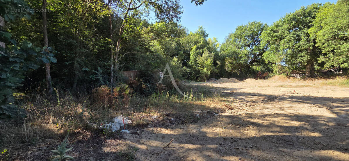 Terrain à SAINT-HILAIRE-DE-RIEZ