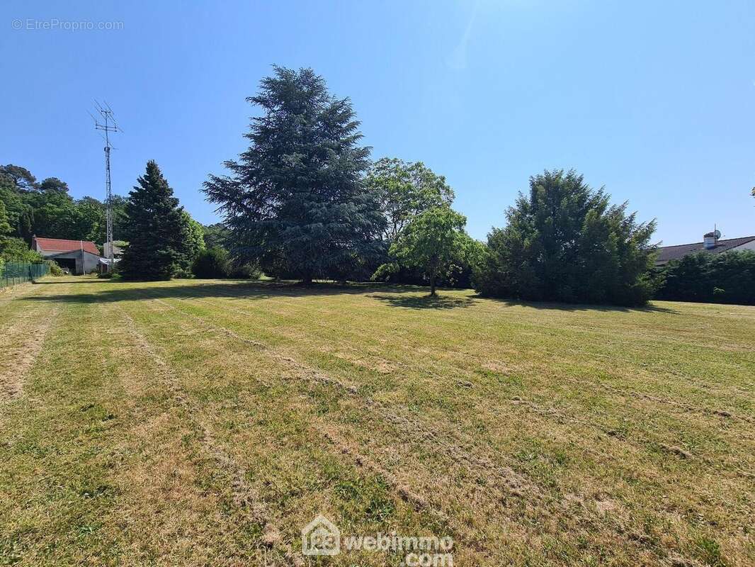 Possibilité de faire plusieurs lots. - Terrain à BOUTIGNY-SUR-ESSONNE