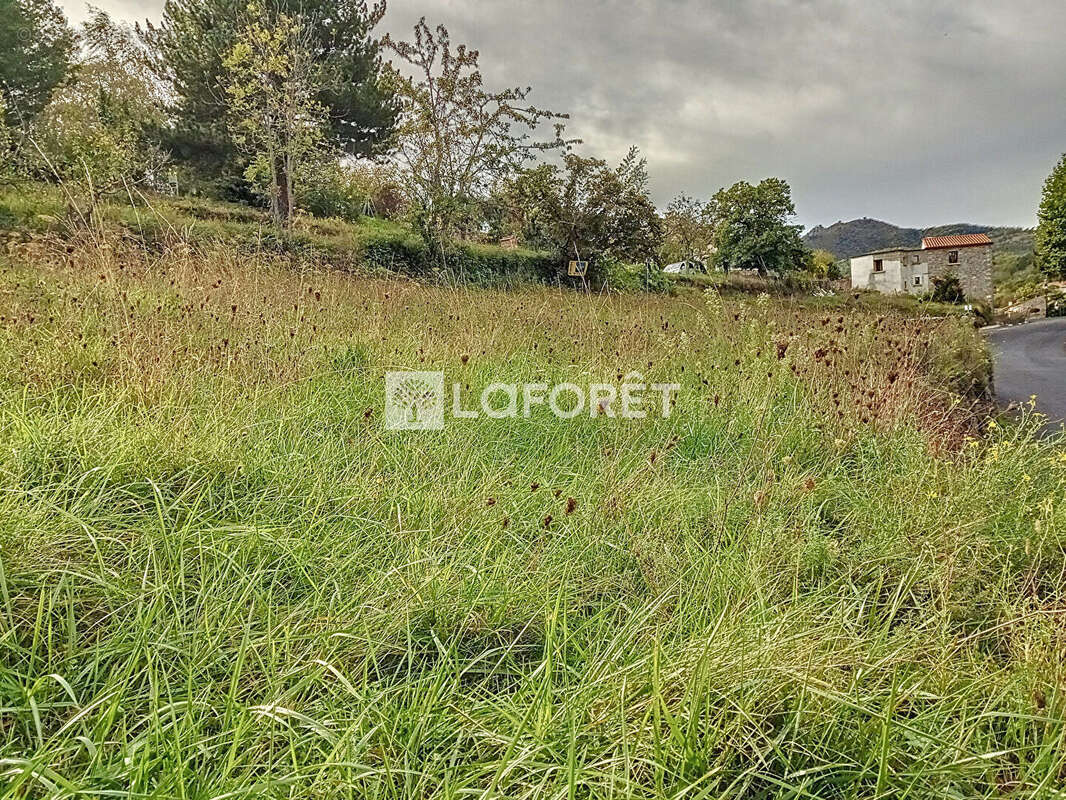 Terrain à SERRALONGUE