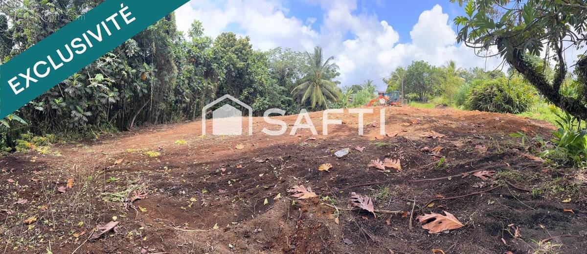 Photo 1 - Terrain à GROS-MORNE