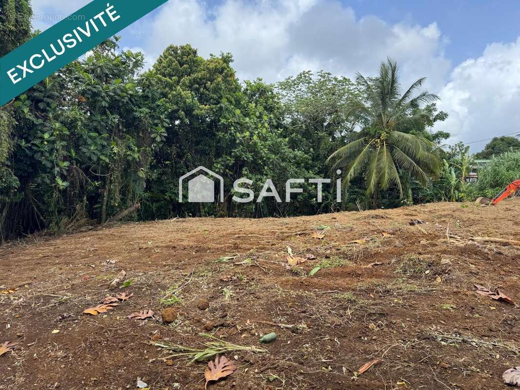 Photo 2 - Terrain à GROS-MORNE