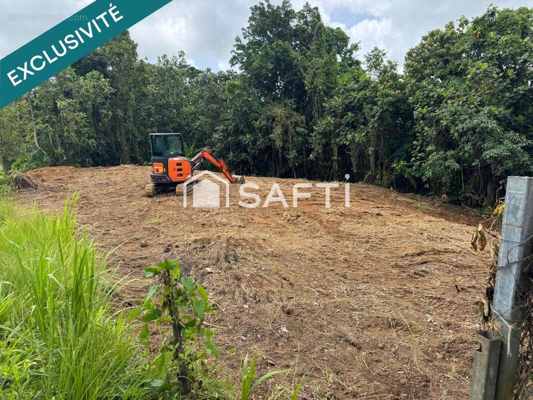 Photo 3 - Terrain à GROS-MORNE