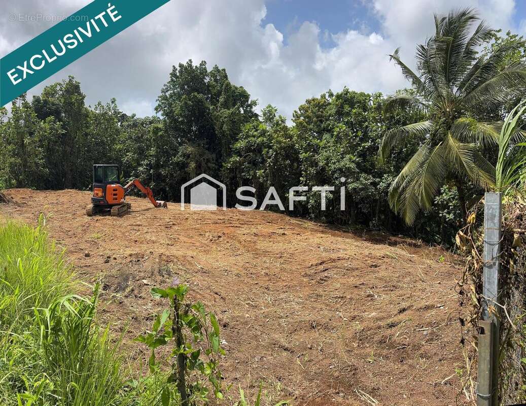 Photo 4 - Terrain à GROS-MORNE