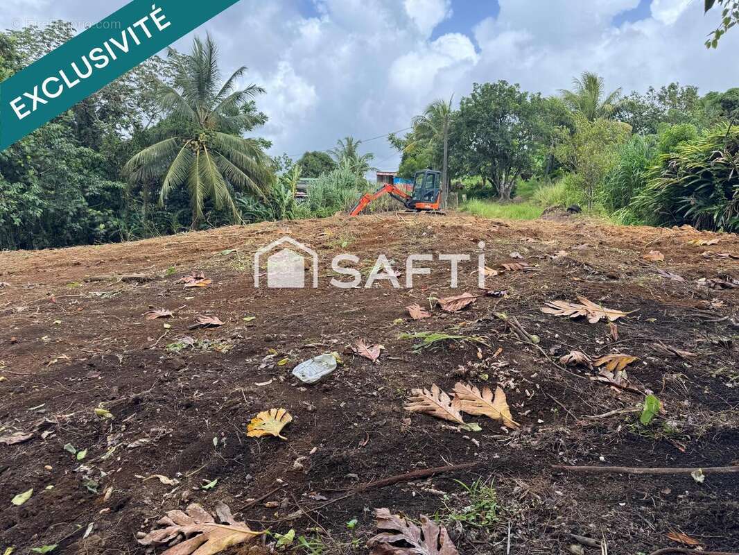 Photo 5 - Terrain à GROS-MORNE