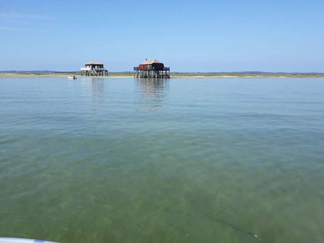 Maison à LEGE-CAP-FERRET