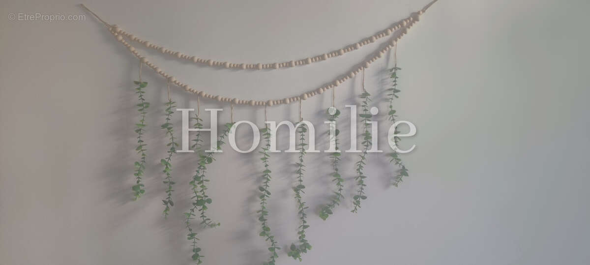 Appartement à MONTRICHARD