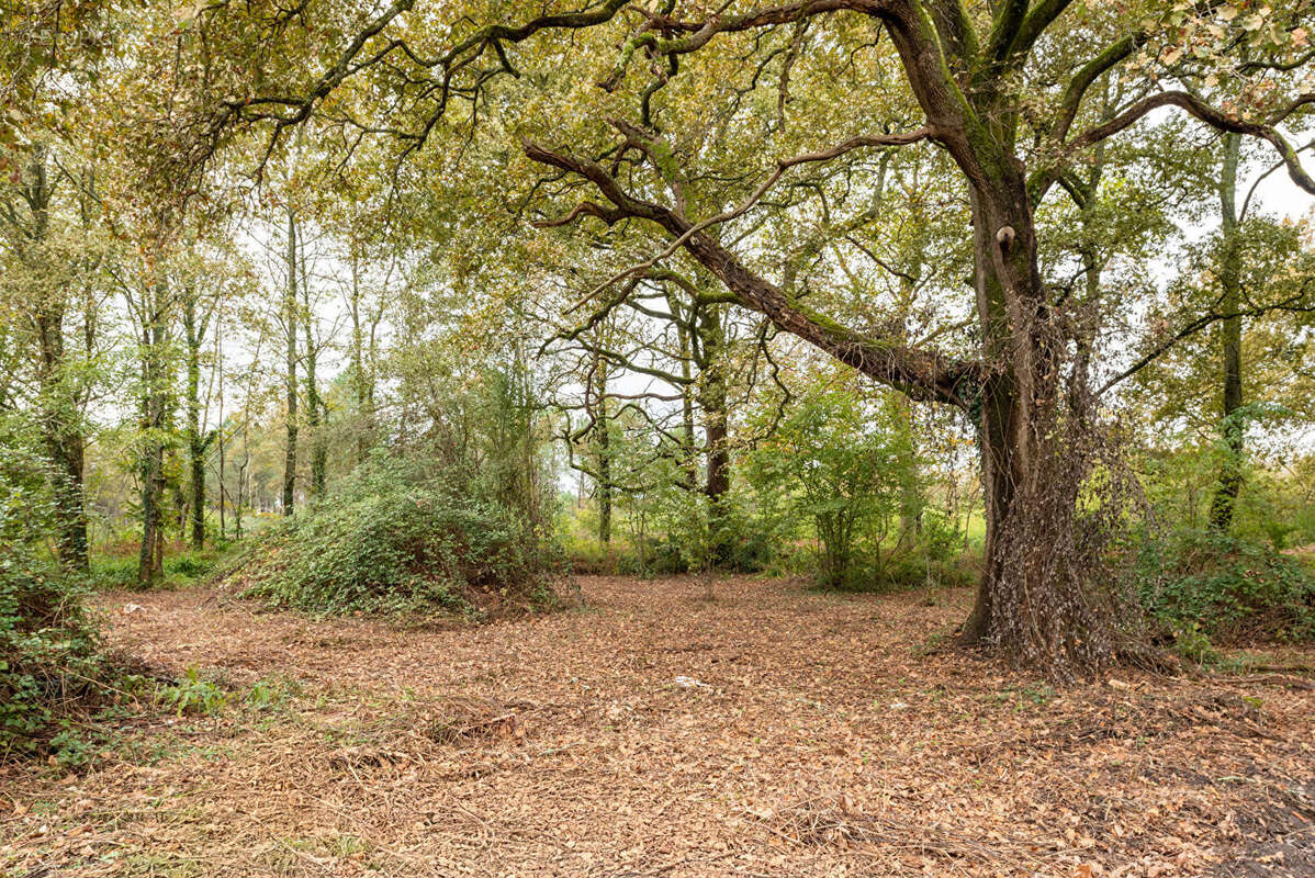 Maison à POUYDESSEAUX