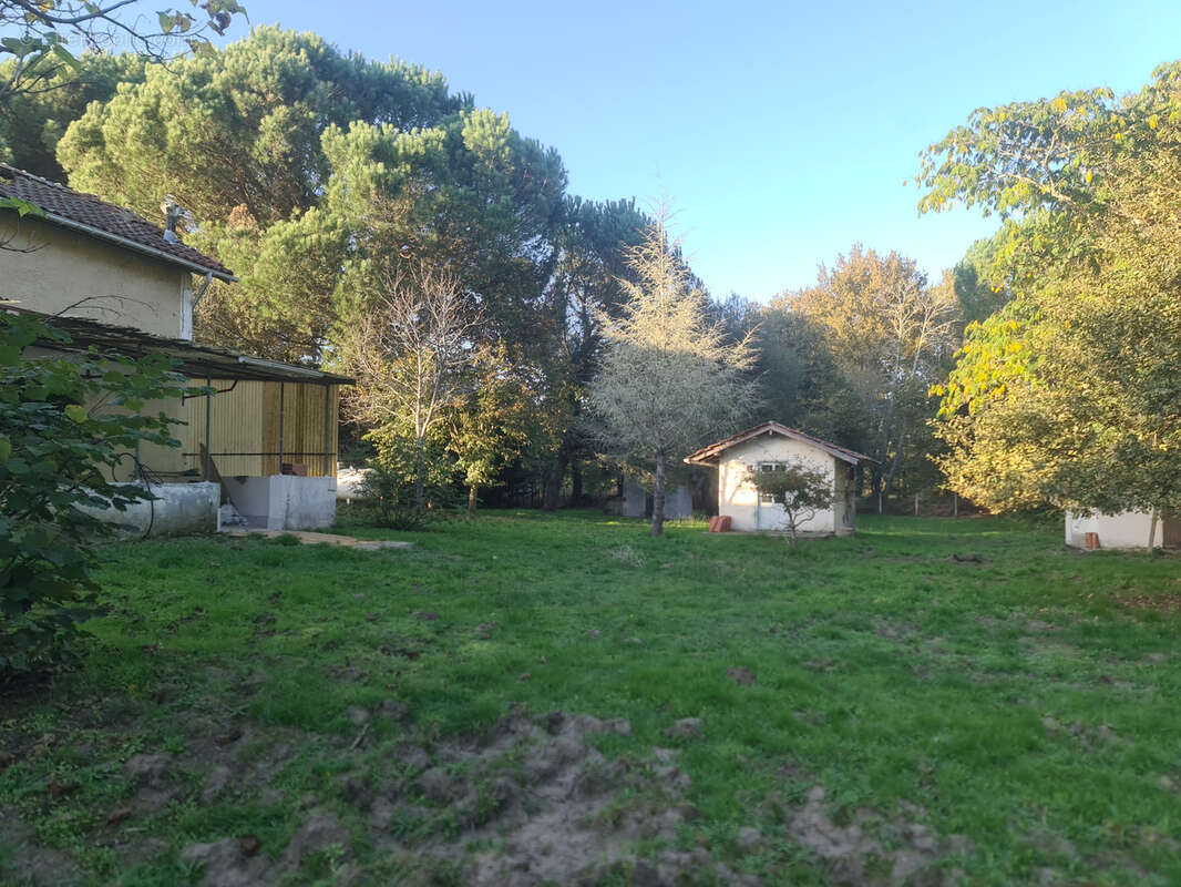 Maison à SAINTE-EULALIE-EN-BORN