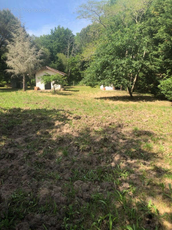 Maison à SAINTE-EULALIE-EN-BORN