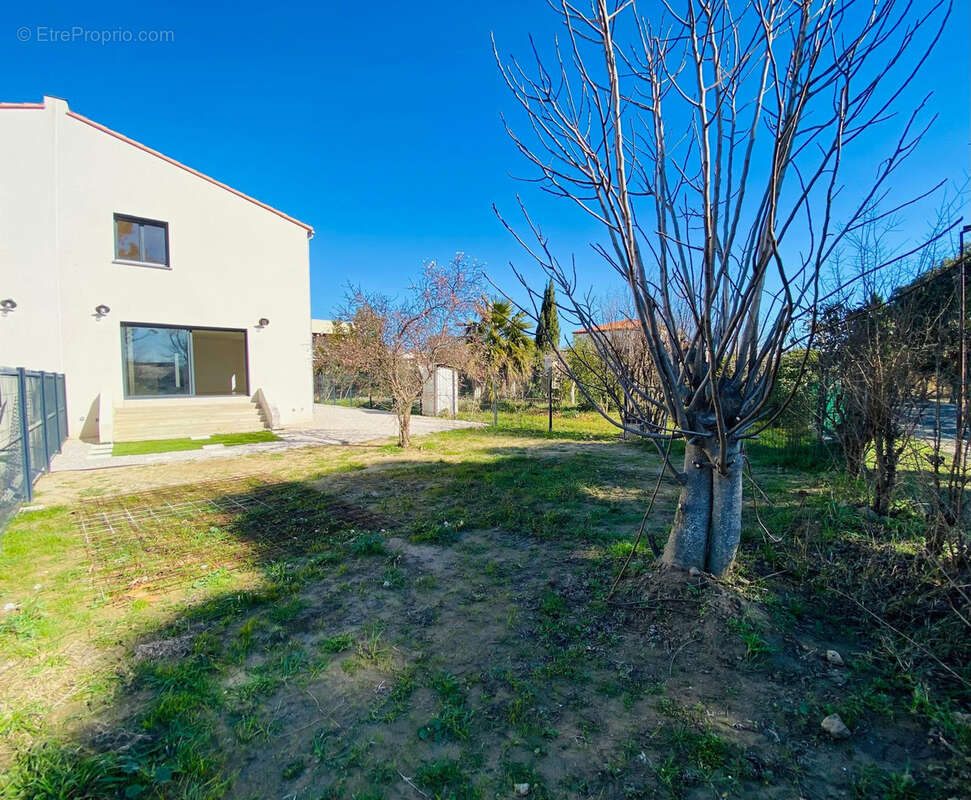 Maison à TORREILLES