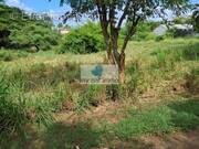 Terrain à LE VAUCLIN