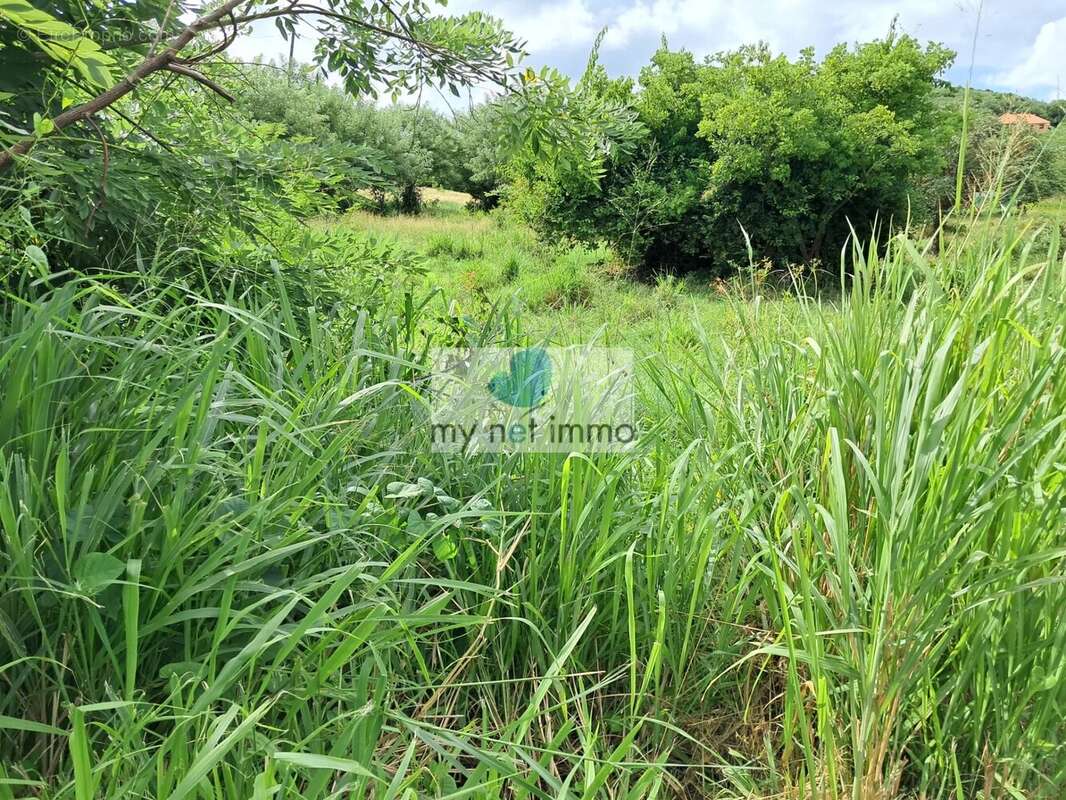 Terrain à LE VAUCLIN