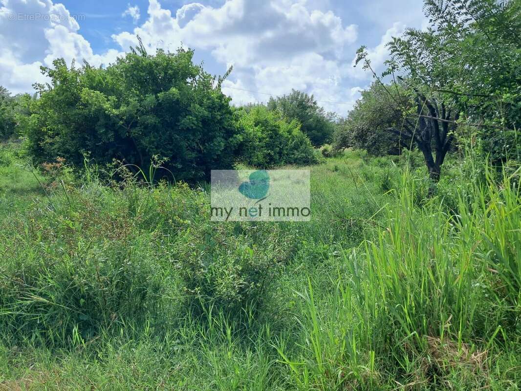 Terrain à LE VAUCLIN