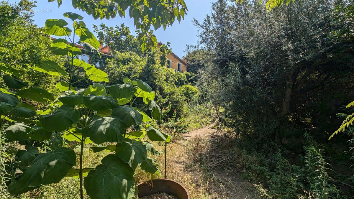 Maison à BANYULS-SUR-MER