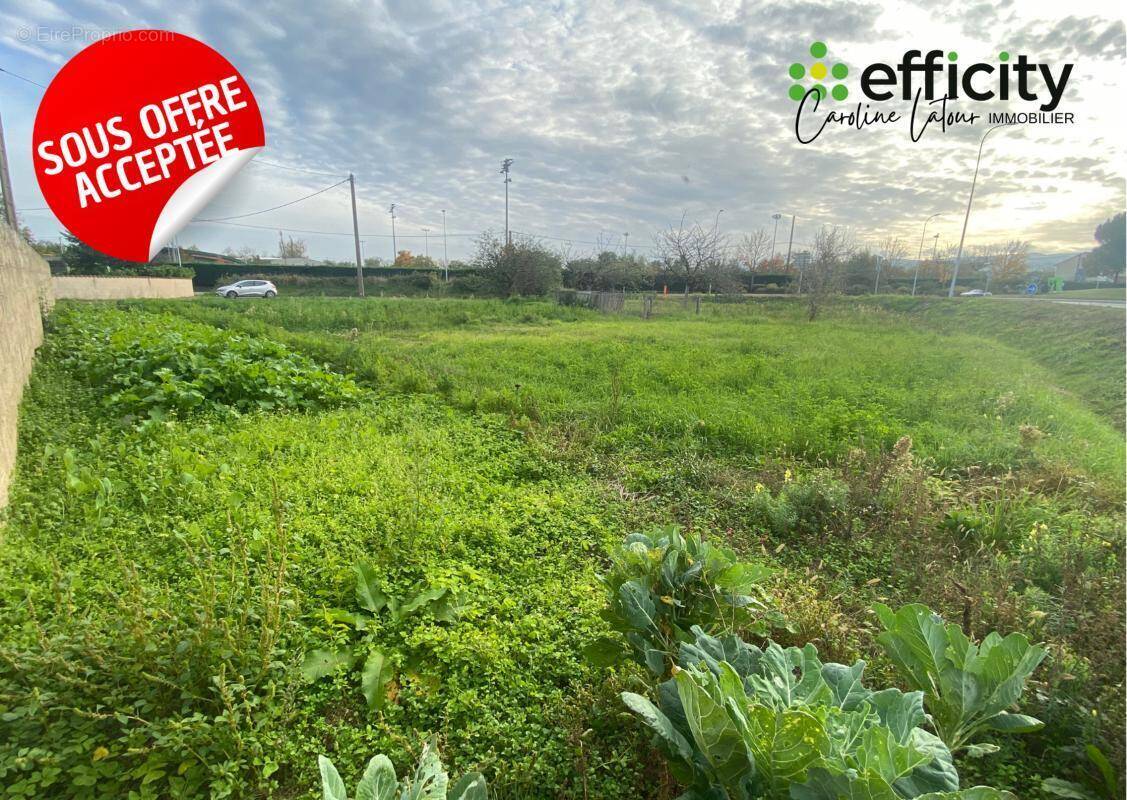 Terrain à SAVIGNEUX