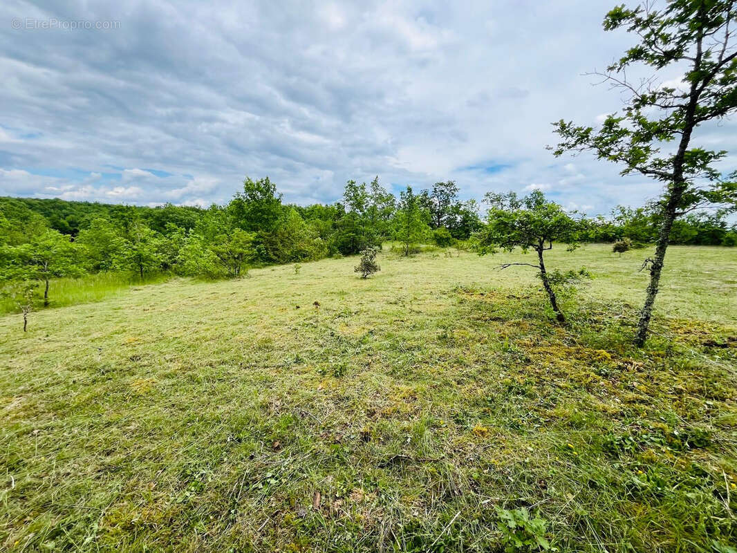 Terrain à CHAVAGNAC