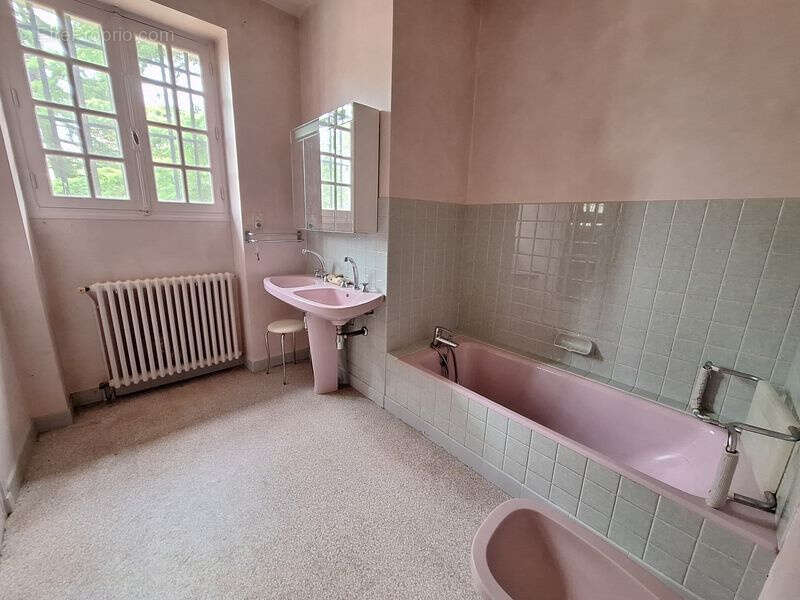 Maison à SAINT-MICHEL-LOUBEJOU