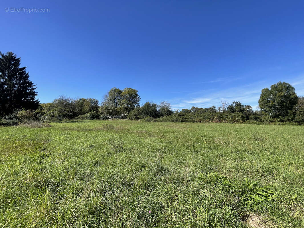 Maison à SAUVETERRE-DE-BEARN