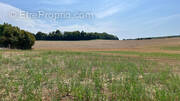 Terrain à PARLY