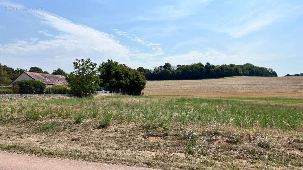 Terrain à PARLY