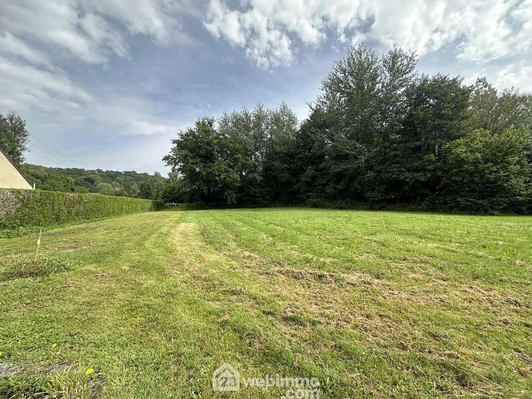 Il n'attend plus que vous et votre projet - Terrain à MERLIEUX-ET-FOUQUEROLLES