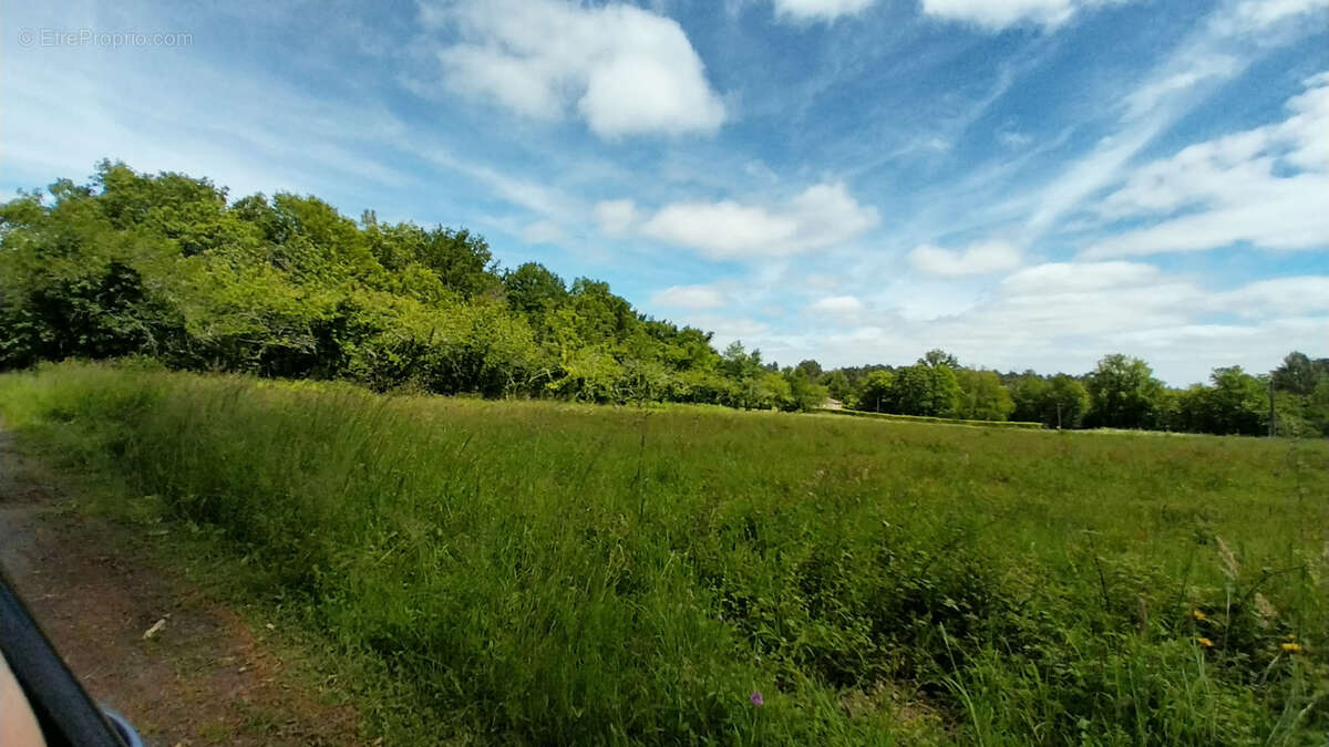Terrain à BUSSAC