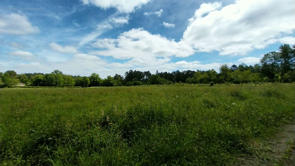 Terrain à BUSSAC