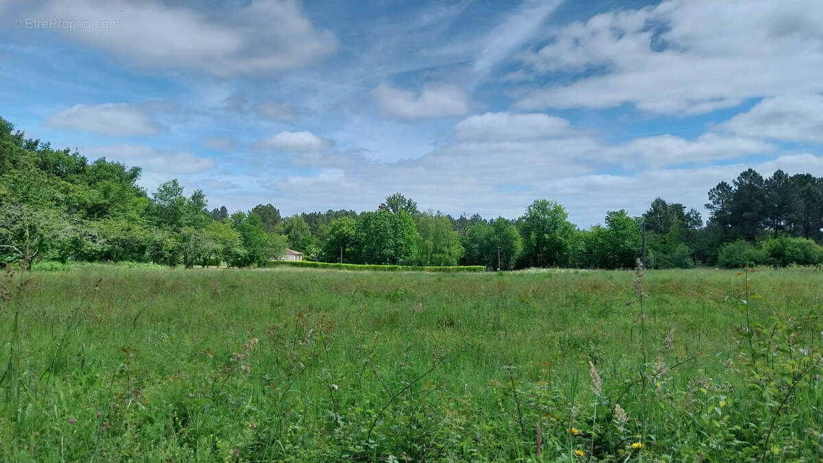 Terrain à BUSSAC