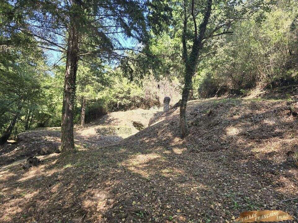Terrain à SAINT-ETIENNE-VALLEE-FRANCAISE