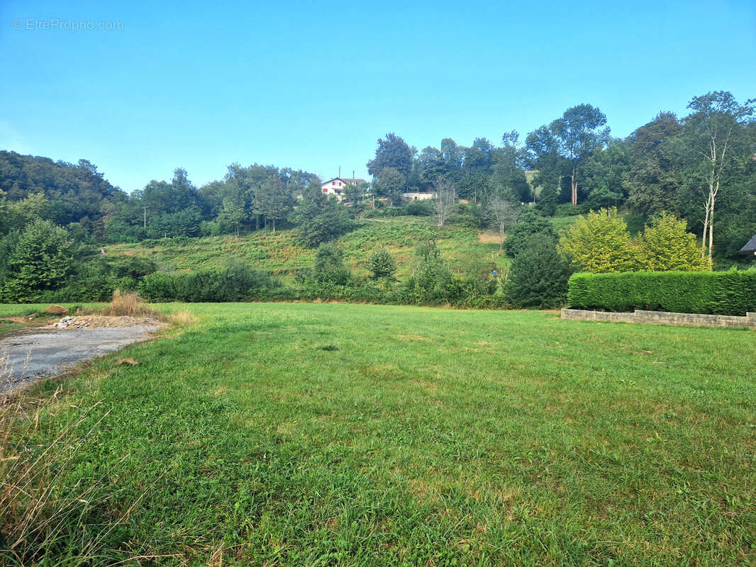 Terrain à MAULEON-LICHARRE