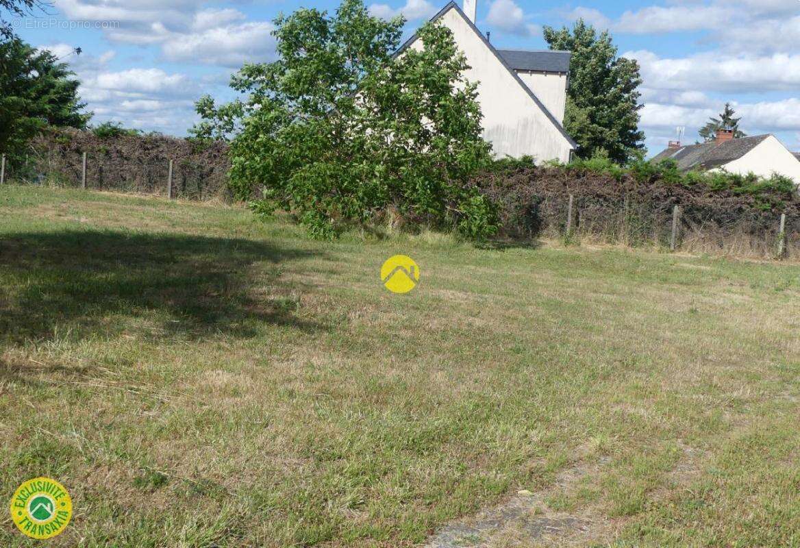 Terrain à LANGEAIS