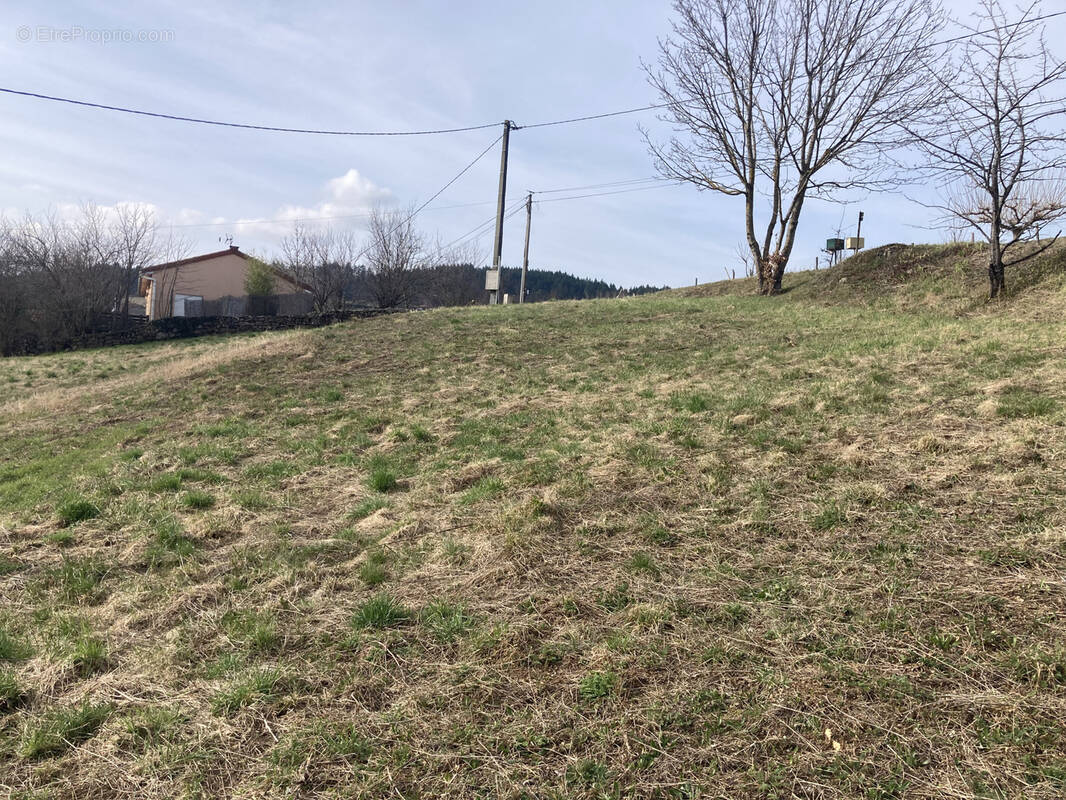 Terrain à SAINT-ROMAIN-D&#039;AY