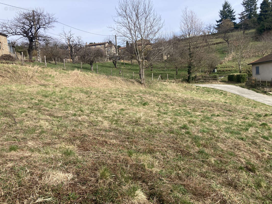 Terrain à SAINT-ROMAIN-D&#039;AY