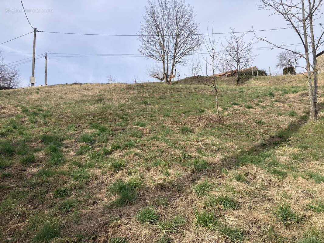 Terrain à SAINT-ROMAIN-D&#039;AY