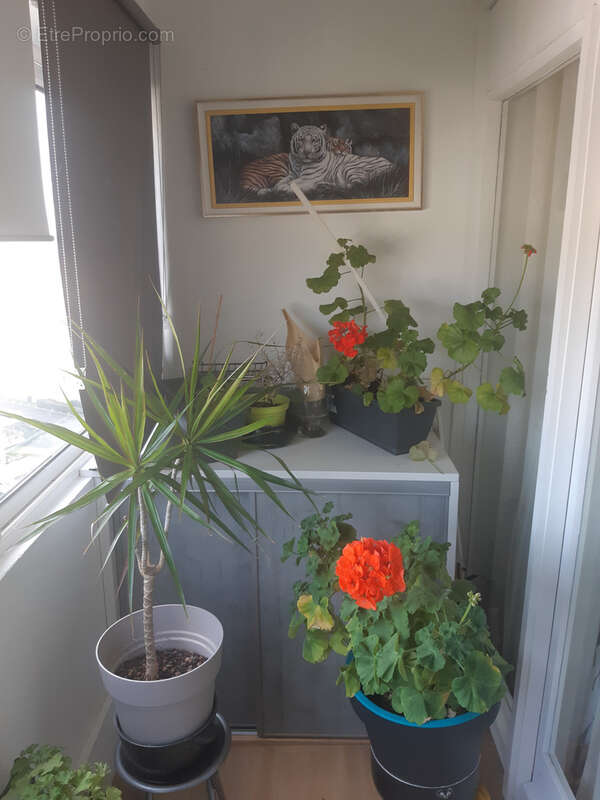 Appartement à ROYAN