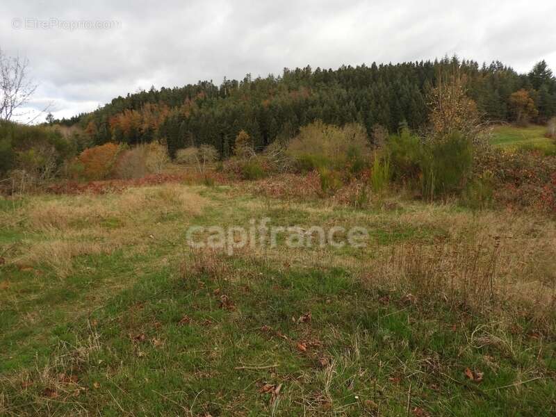 Maison à NOIRETABLE