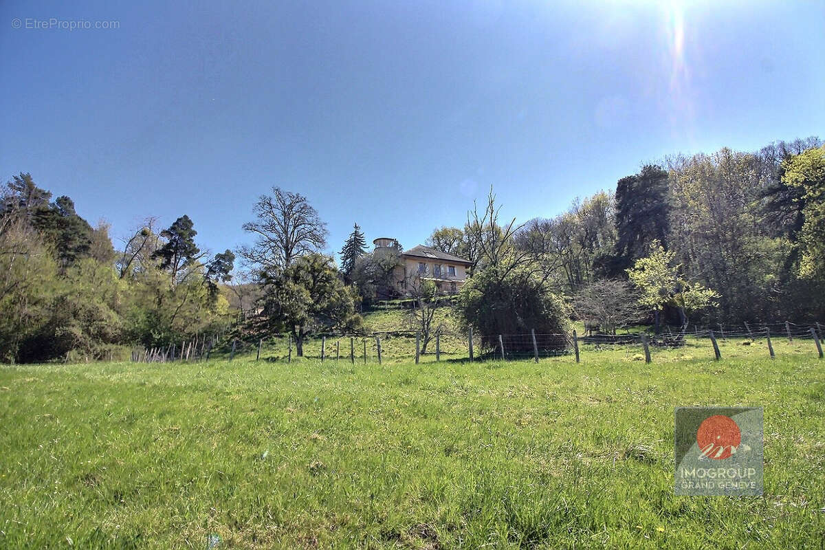 Maison à MASSONGY