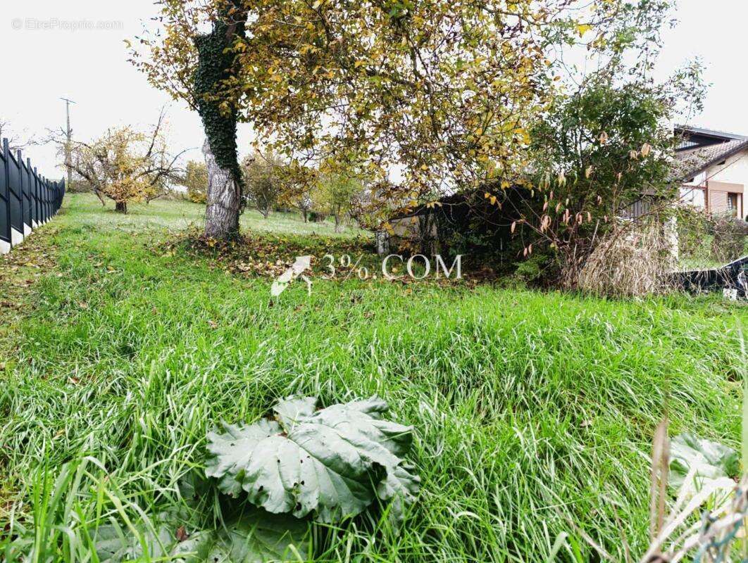 Terrain à PIERREVILLE