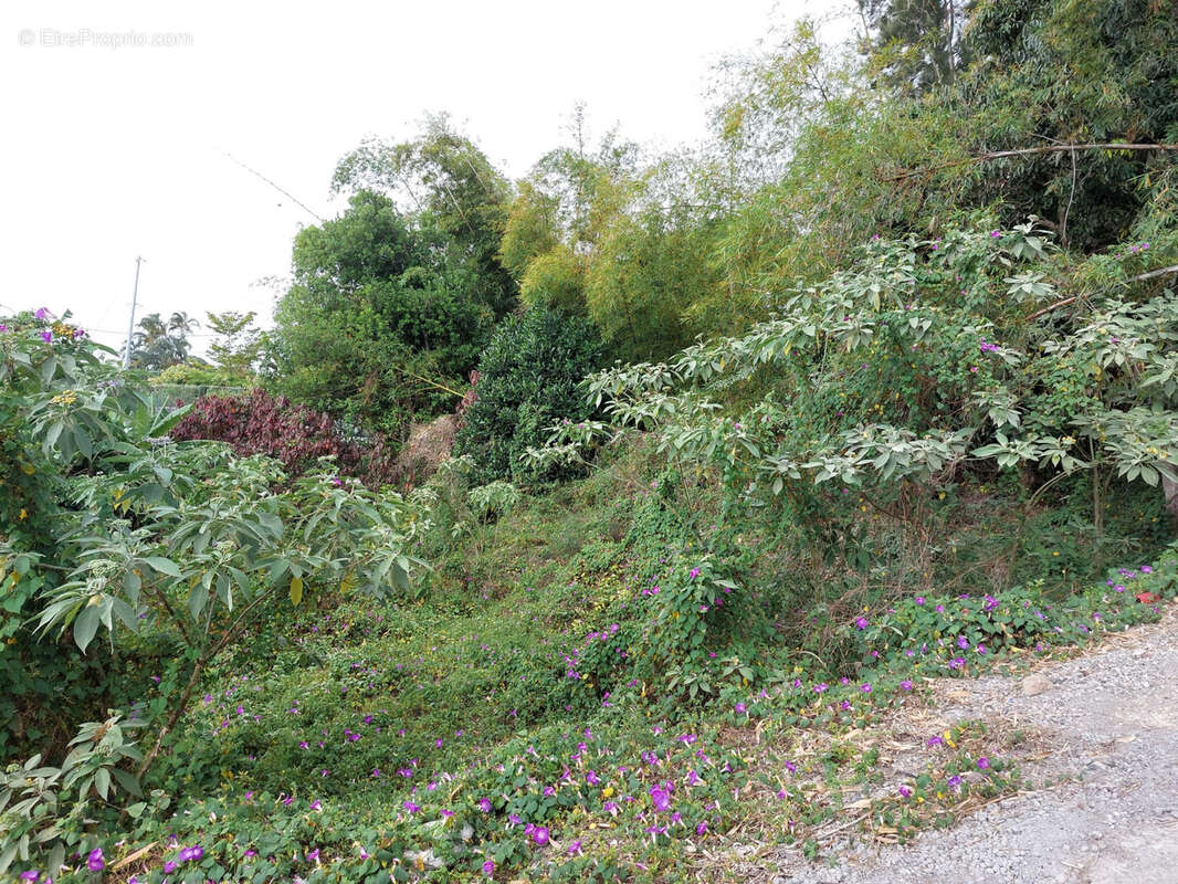 Terrain à SAINT-DENIS