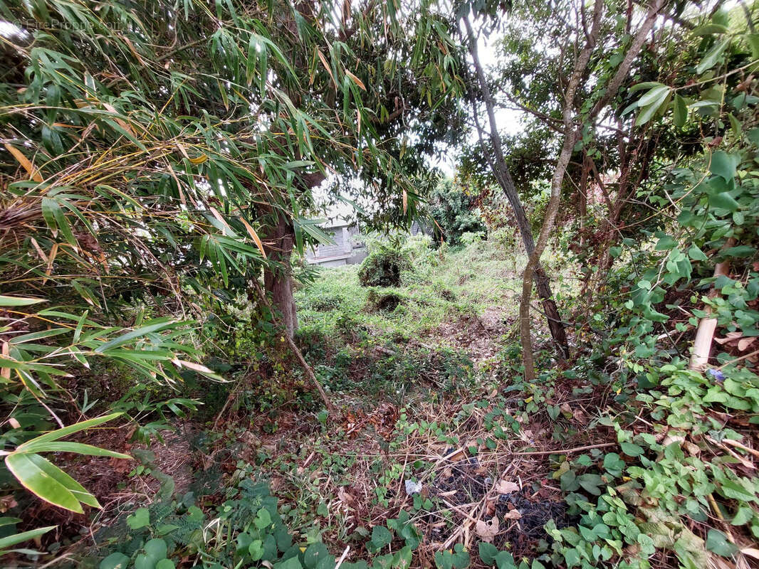 Terrain à SAINT-DENIS