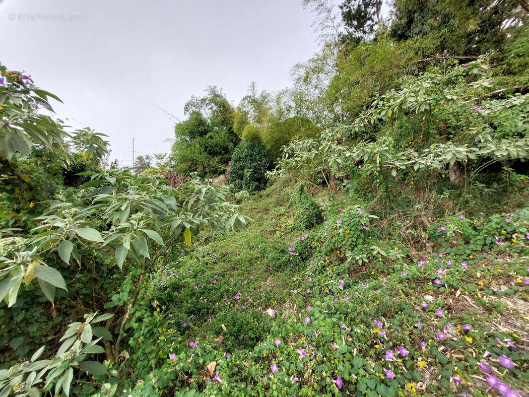 Terrain à SAINT-DENIS