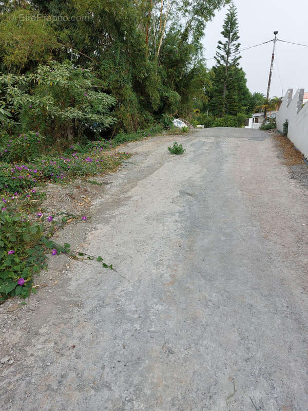 Terrain à SAINT-DENIS