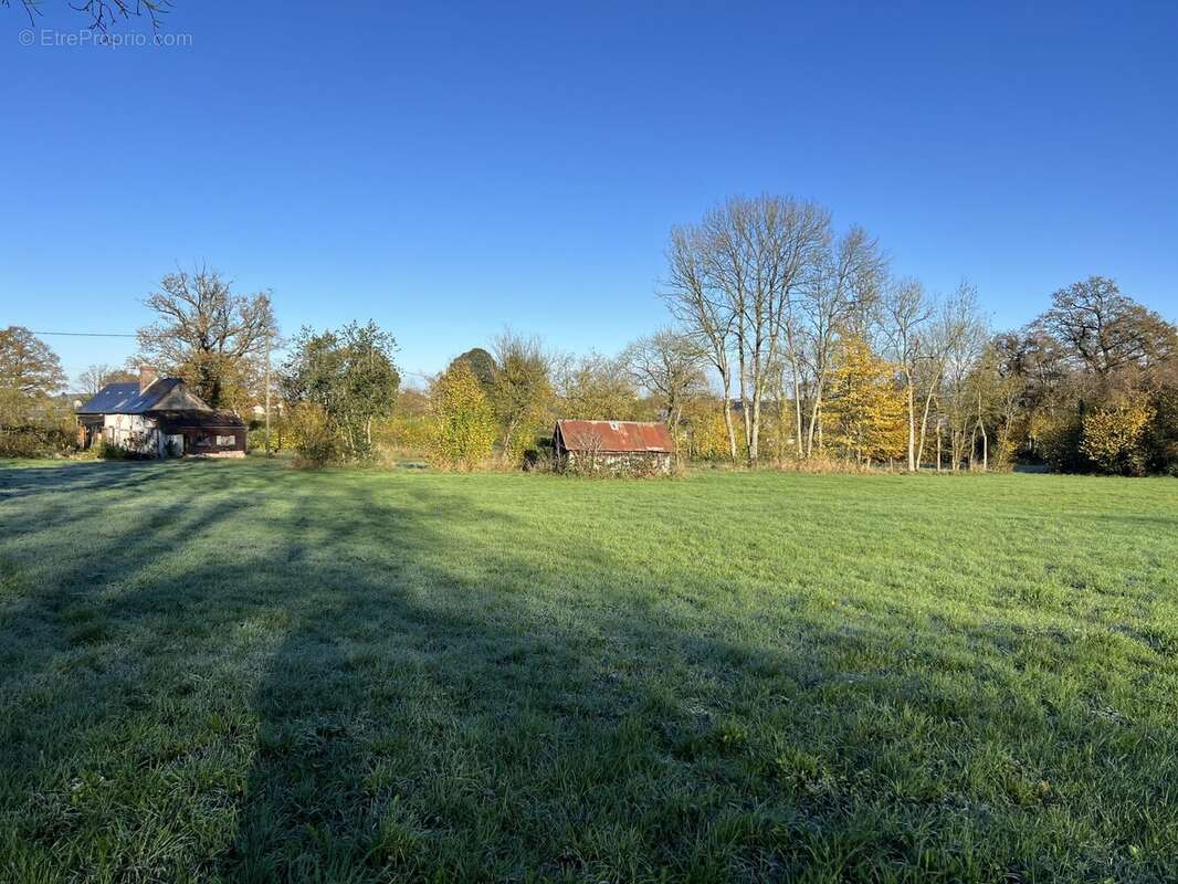 vue d&#039;ensemble propriété Briouze - Maison à BRIOUZE