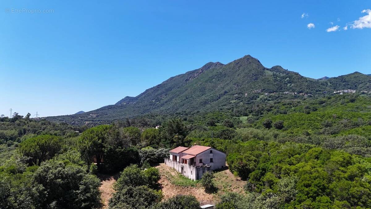 Maison à SAN-NICOLAO