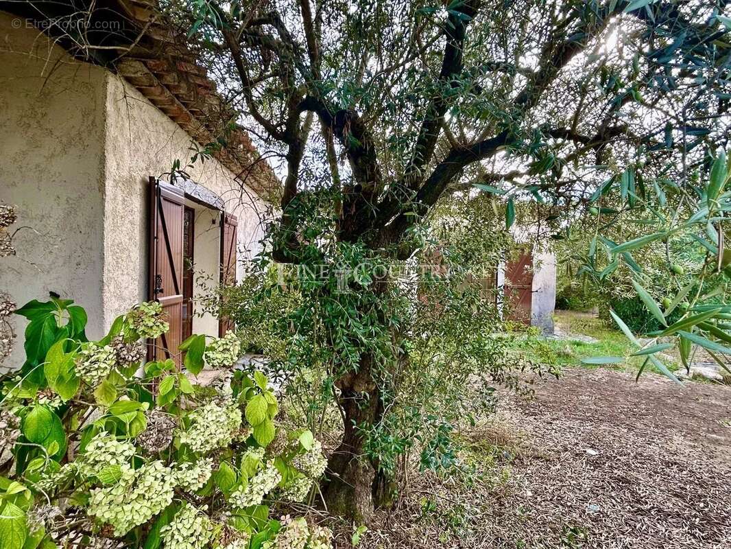 Maison à MONTAUROUX