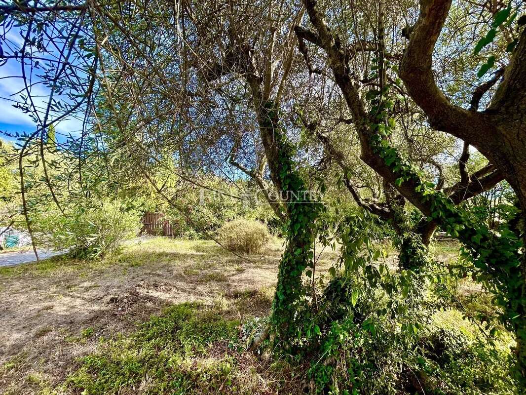 Maison à MONTAUROUX