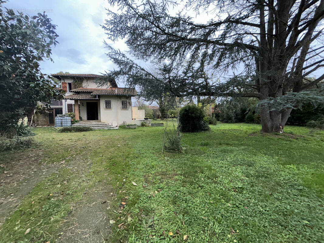 Maison à CINTEGABELLE