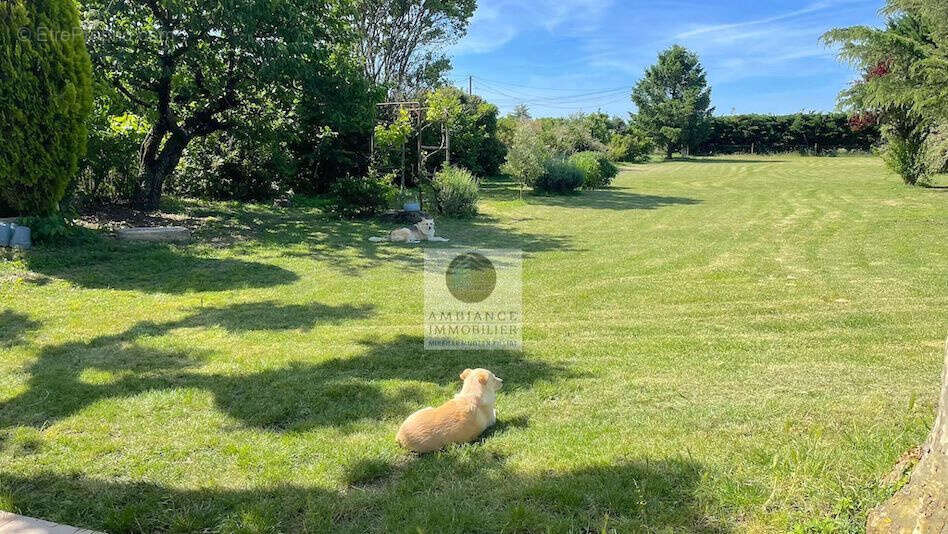 Maison à BEAUVALLON